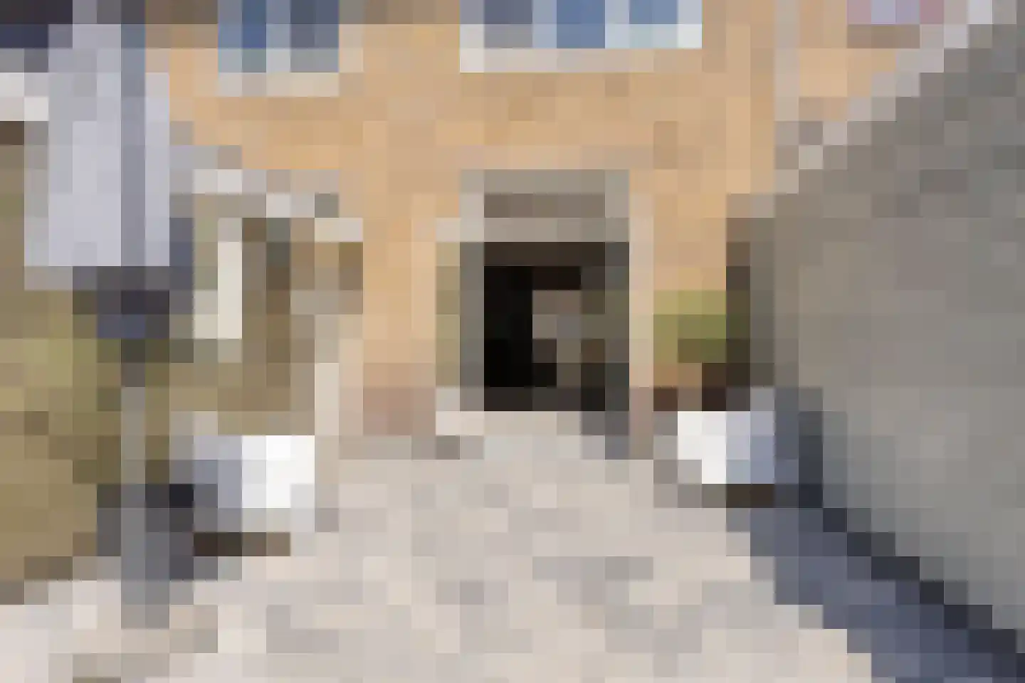 Jollenstraat 6 Sneek thumbnail 16