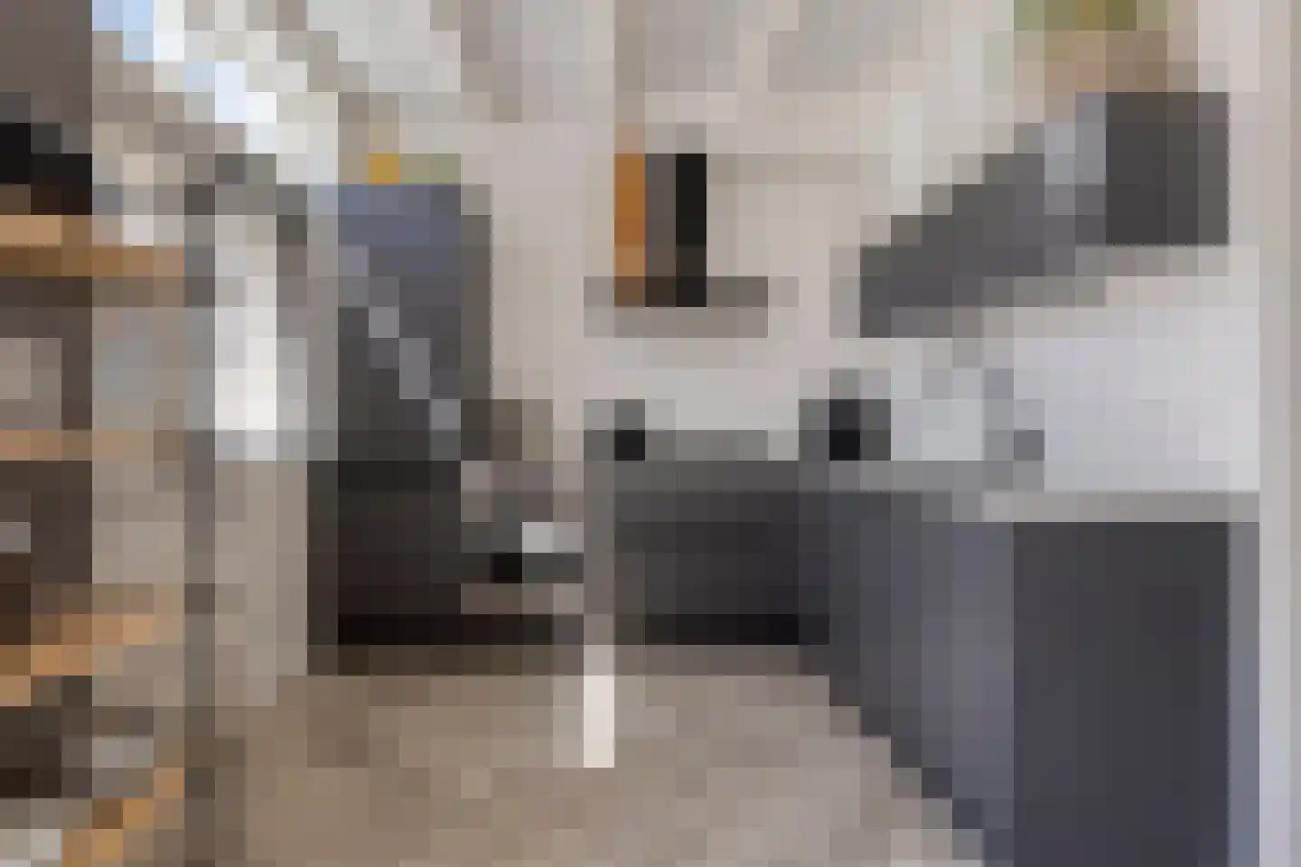 Jollenstraat 6 Sneek thumbnail 17