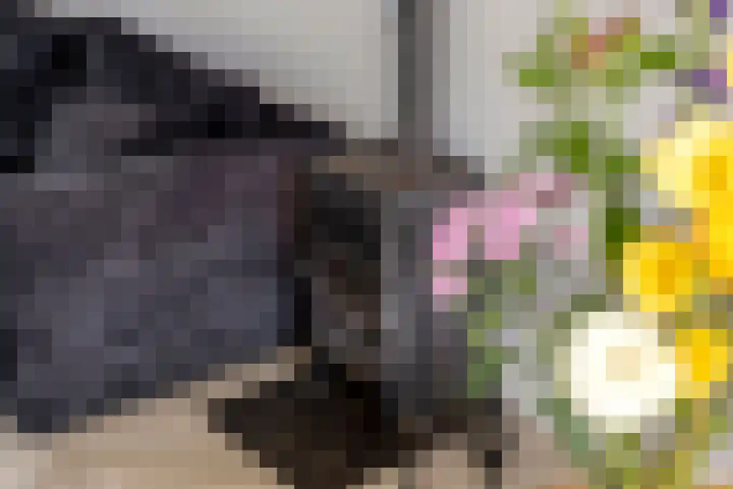 Jollenstraat 6 Sneek thumbnail 7