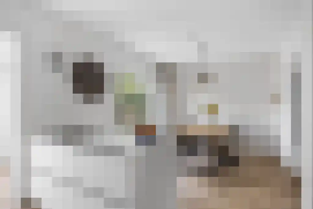 Jollenstraat 9 Sneek thumbnail 12