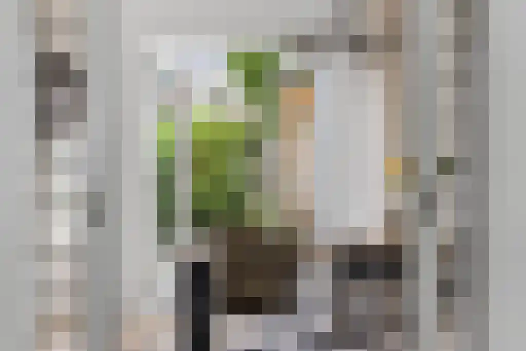 Jollenstraat 9 Sneek thumbnail 5