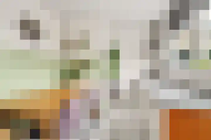 Jolstraat 15 Tholen thumbnail 13