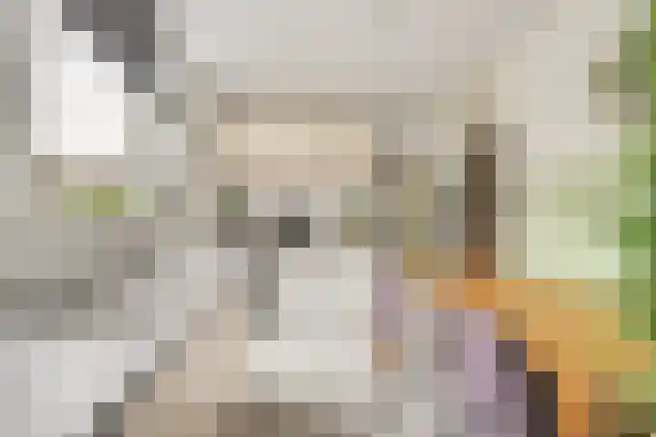 Jolstraat 15 Tholen thumbnail 14