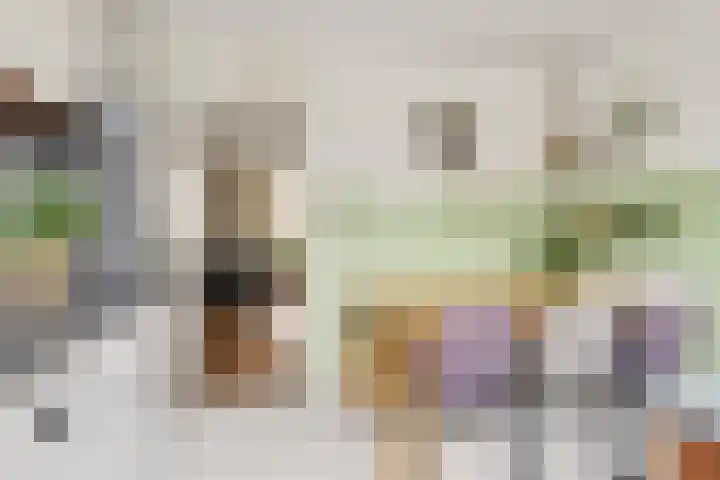 Jolstraat 15 Tholen thumbnail 15