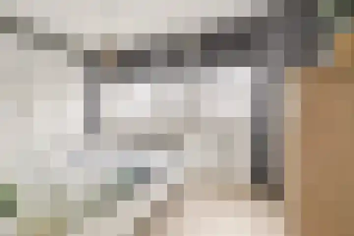 Jolstraat 15 Tholen thumbnail 16