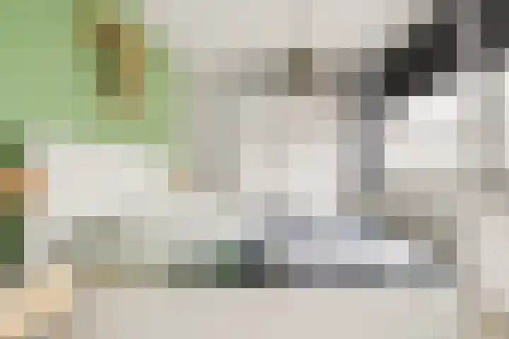 Jolstraat 15 Tholen thumbnail 17