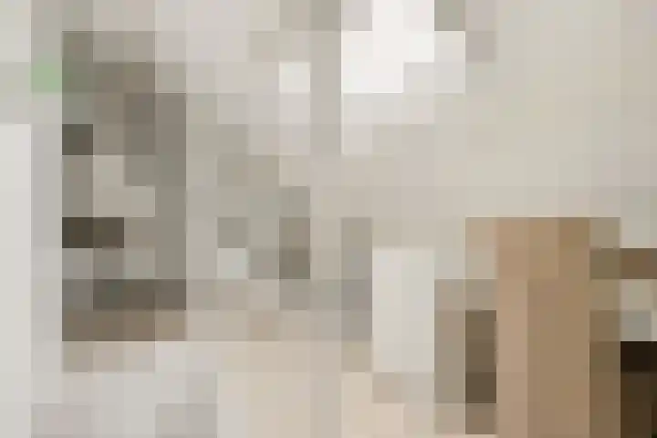Jolstraat 15 Tholen thumbnail 26