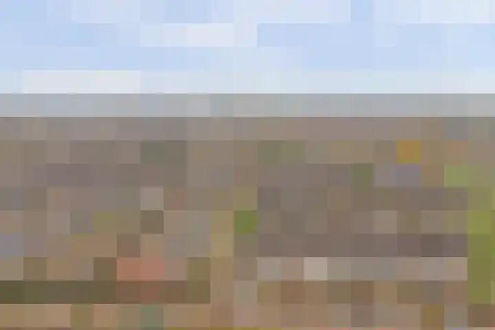 Jolstraat 15 Tholen thumbnail 34