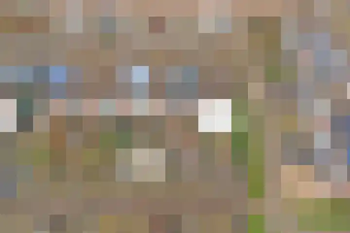 Jolstraat 15 Tholen thumbnail 38