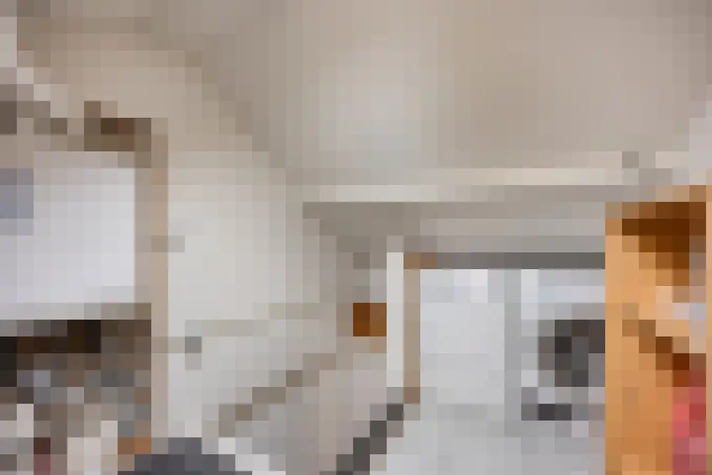 Jolstraat 21 Purmerend thumbnail 21
