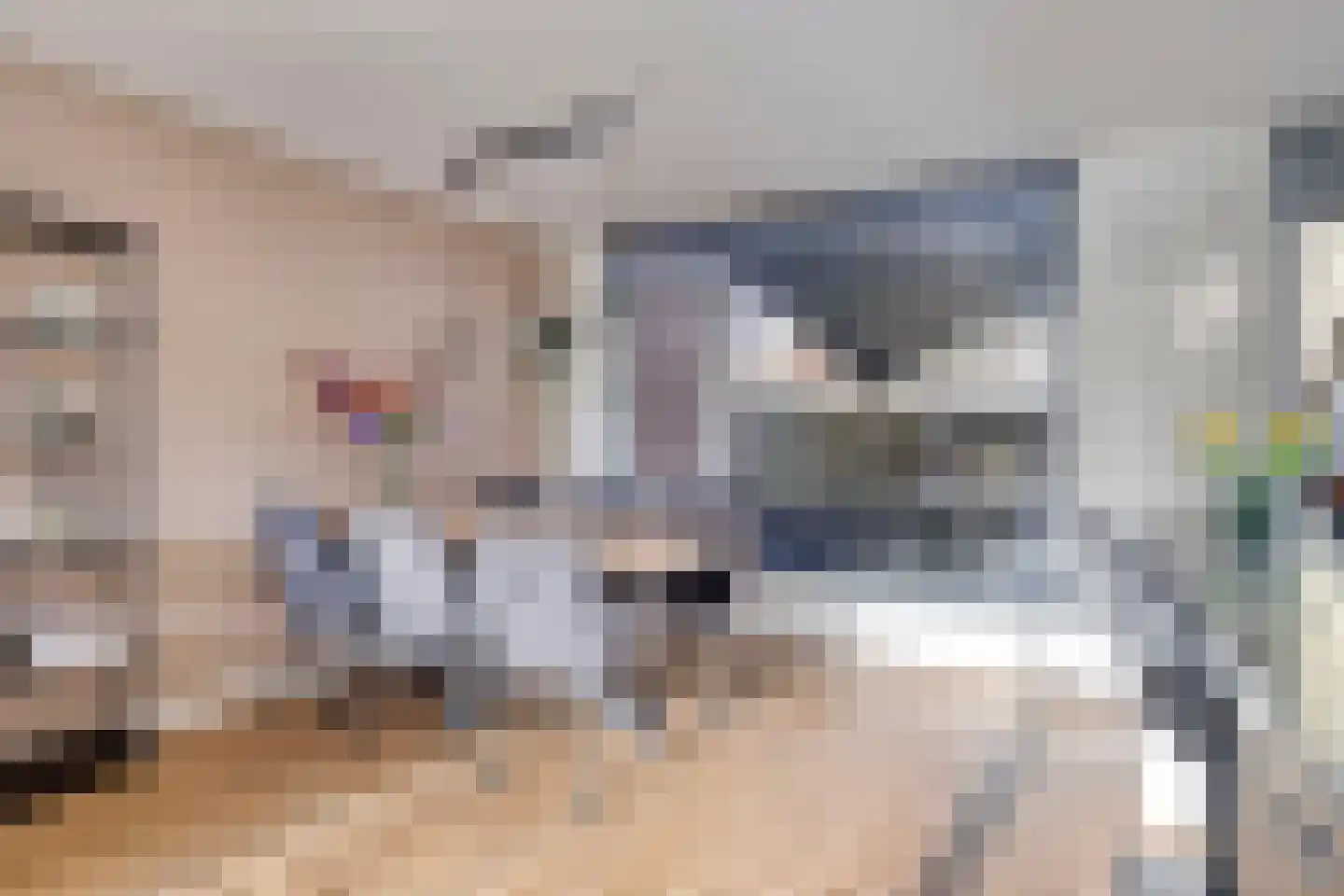 Jolstraat 23 Purmerend thumbnail 11