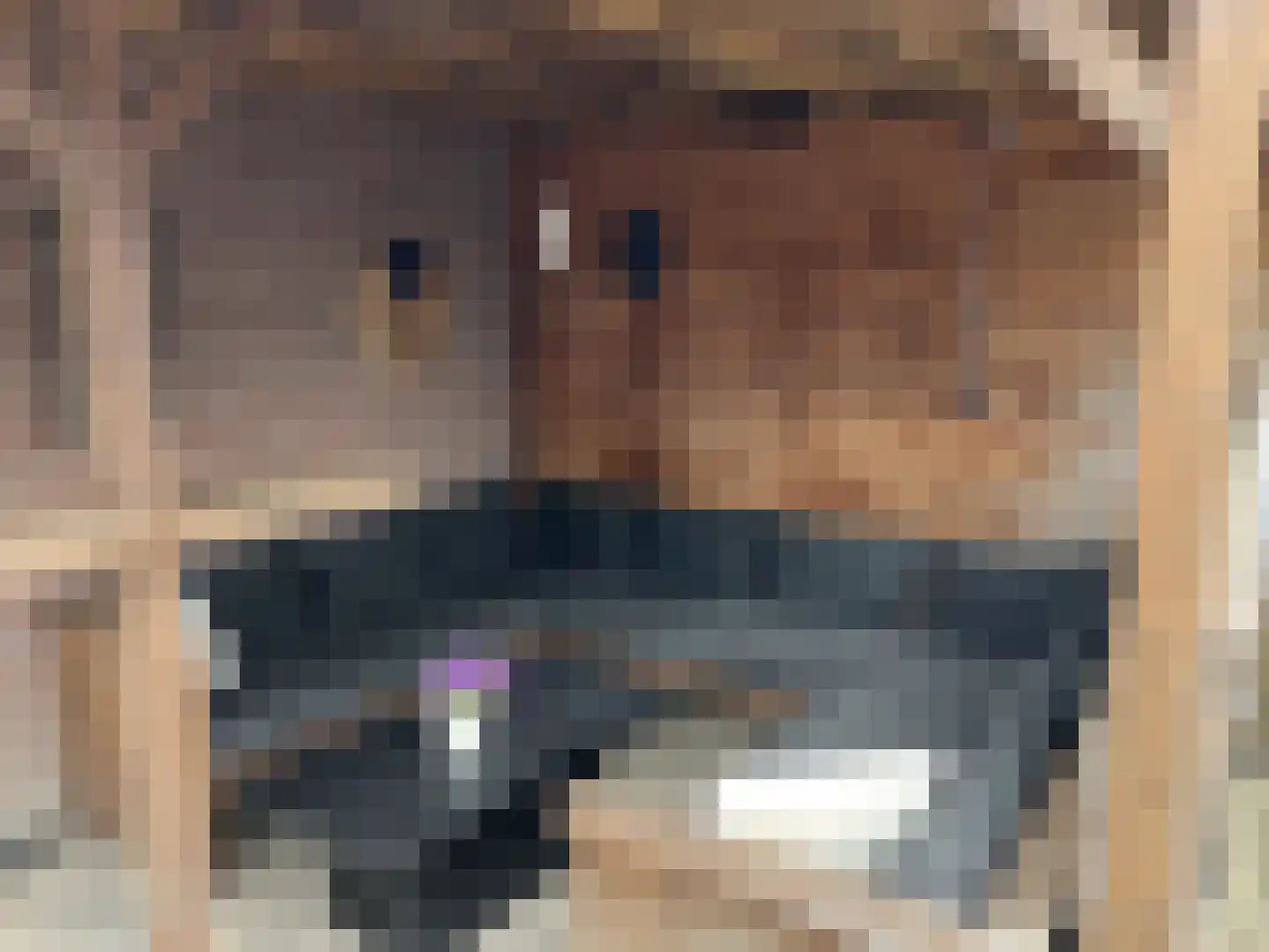 Jolstraat 23 Purmerend thumbnail 35