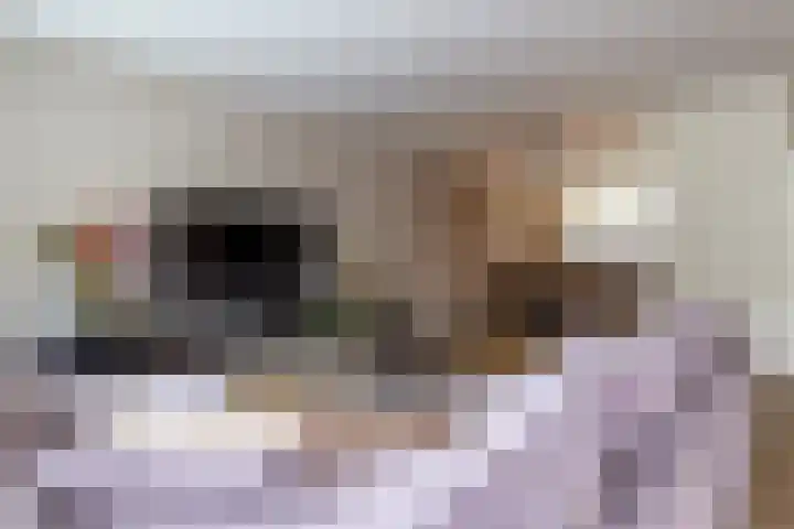 Jolstraat 9 Den Helder thumbnail 9