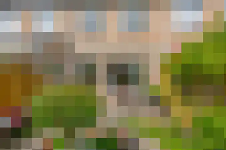 Jolwerf 5 Gouda thumbnail 15