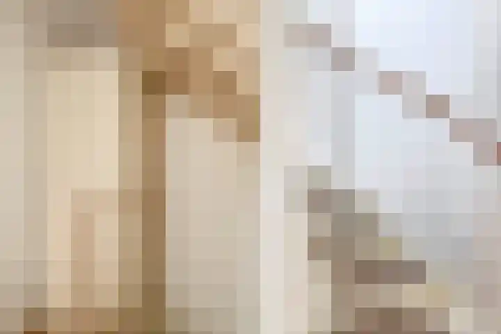 Jolwerf 5 Gouda thumbnail 16
