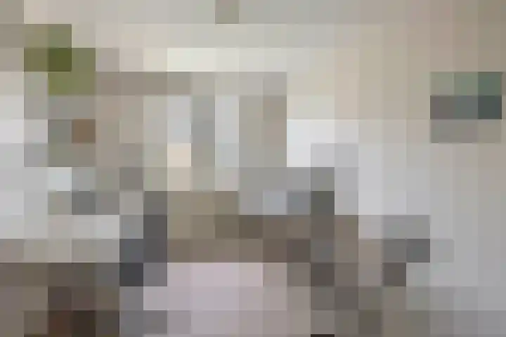 Jolwerf 5 Gouda thumbnail 23