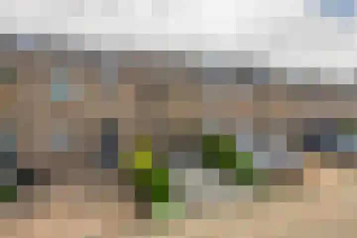 Jolwerf 5 Gouda thumbnail 26