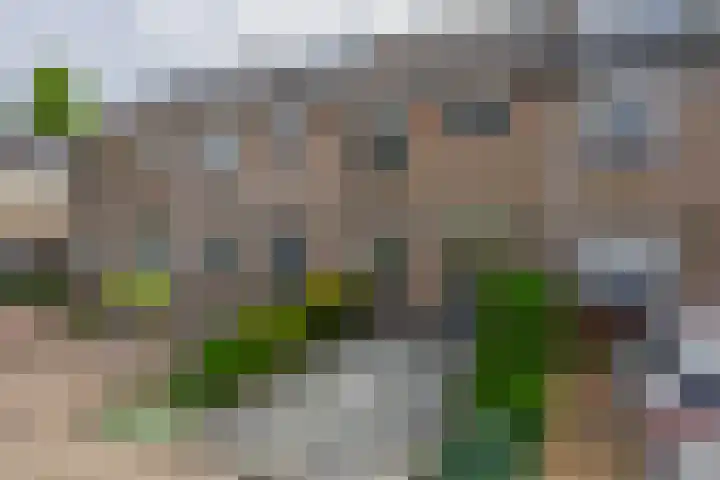 Jolwerf 5 Gouda thumbnail 38