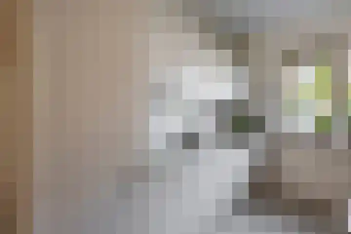 Jolwerf 5 Gouda thumbnail 8