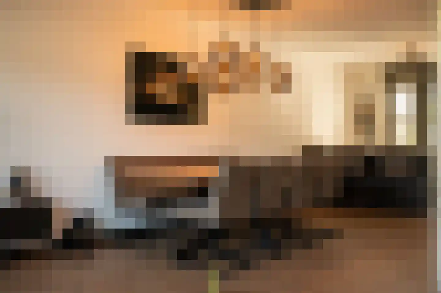 Jonagold 10 Buren thumbnail 13