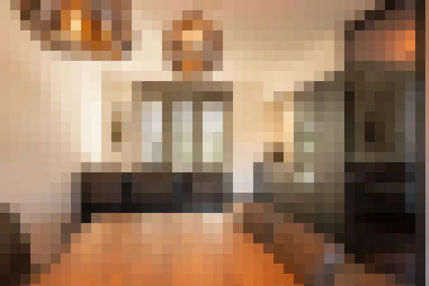Jonagold 10 Buren thumbnail 15