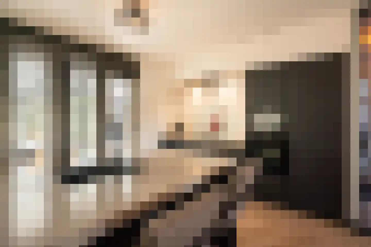 Jonagold 10 Buren thumbnail 17