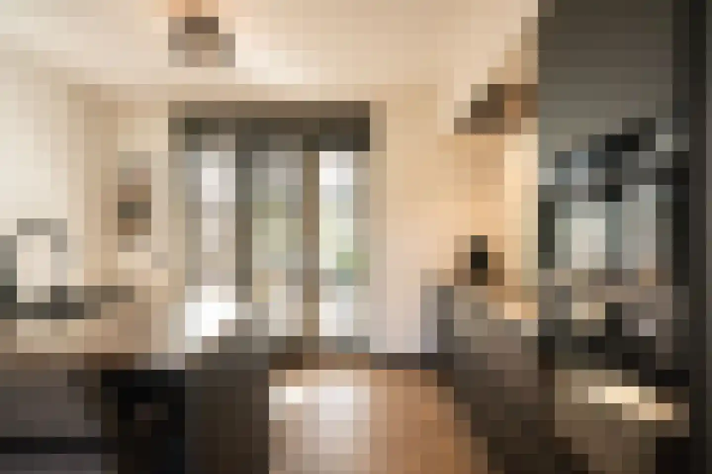 Jonagold 10 Buren thumbnail 18