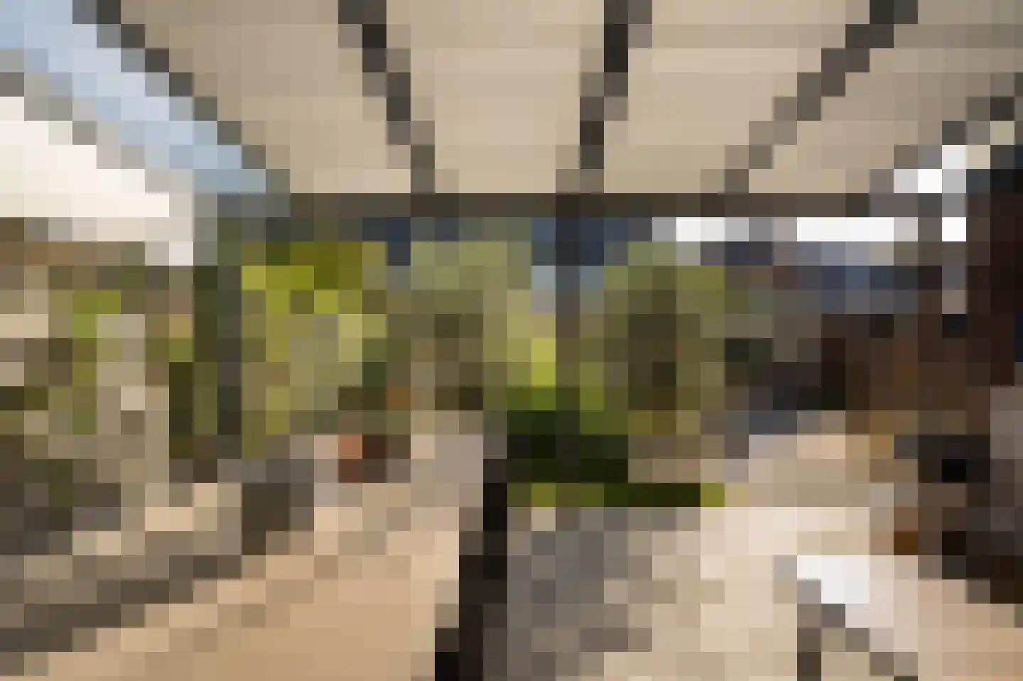 Jonagold 10 Buren thumbnail 19