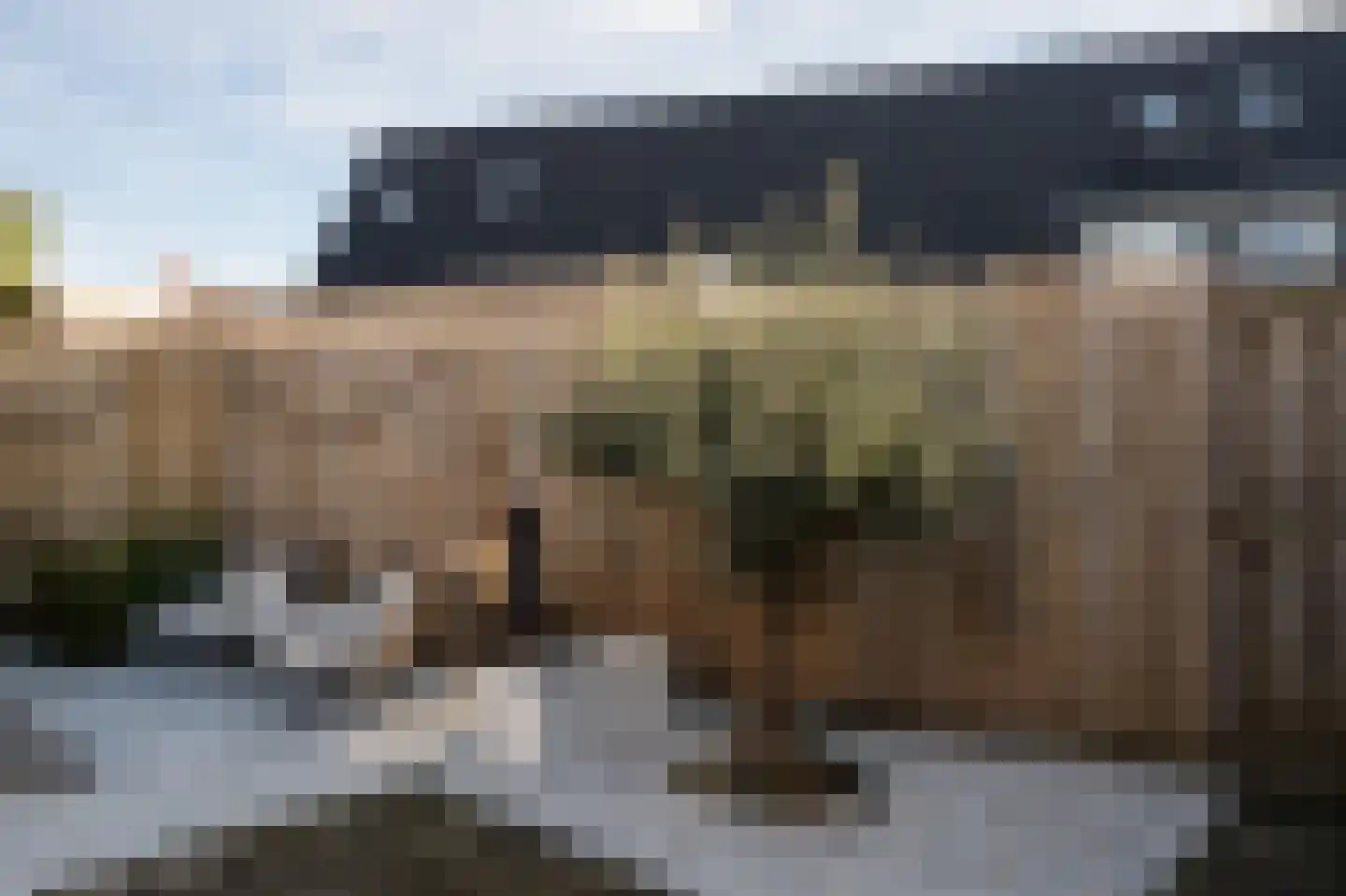 Jonagold 10 Buren thumbnail 22