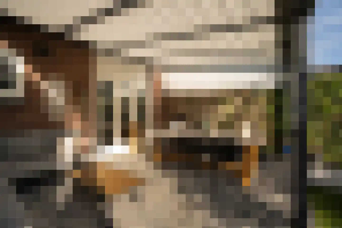 Jonagold 10 Buren thumbnail 26