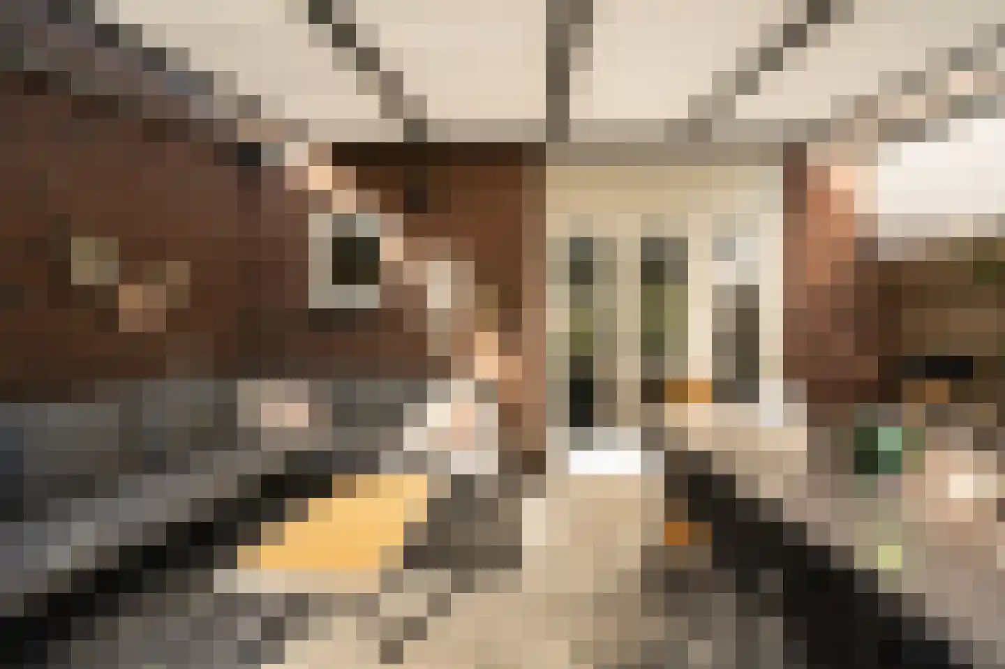 Jonagold 10 Buren thumbnail 27