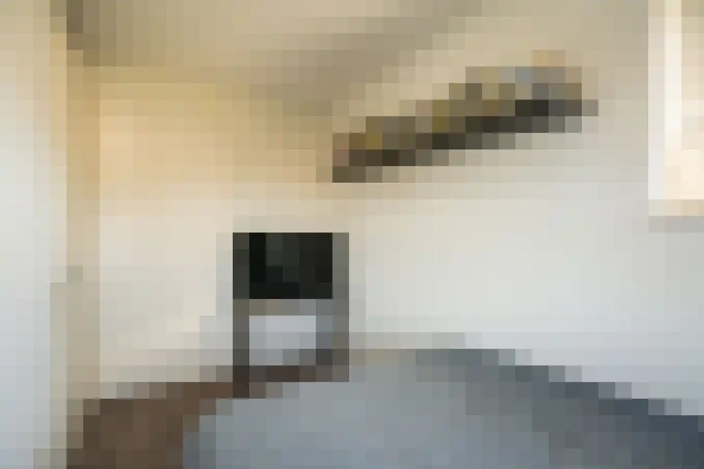 Jonagold 10 Buren thumbnail 39