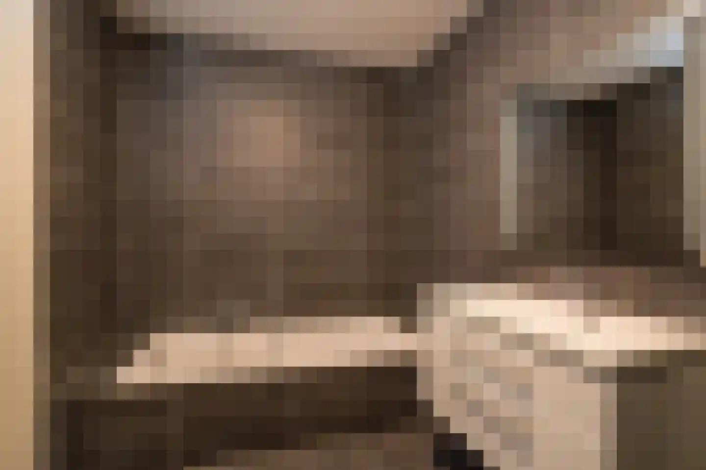 Jonagold 10 Buren thumbnail 42