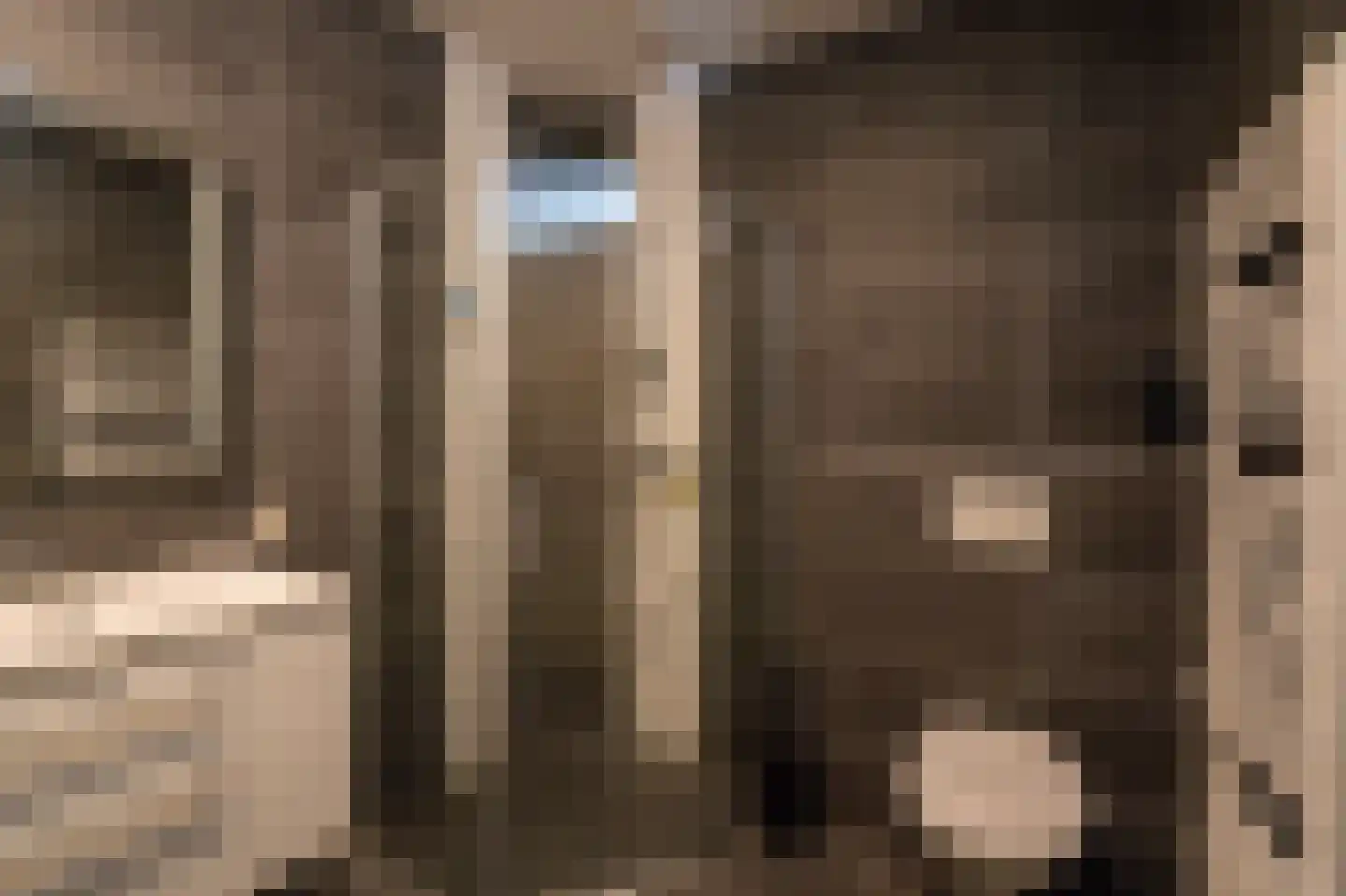 Jonagold 10 Buren thumbnail 43