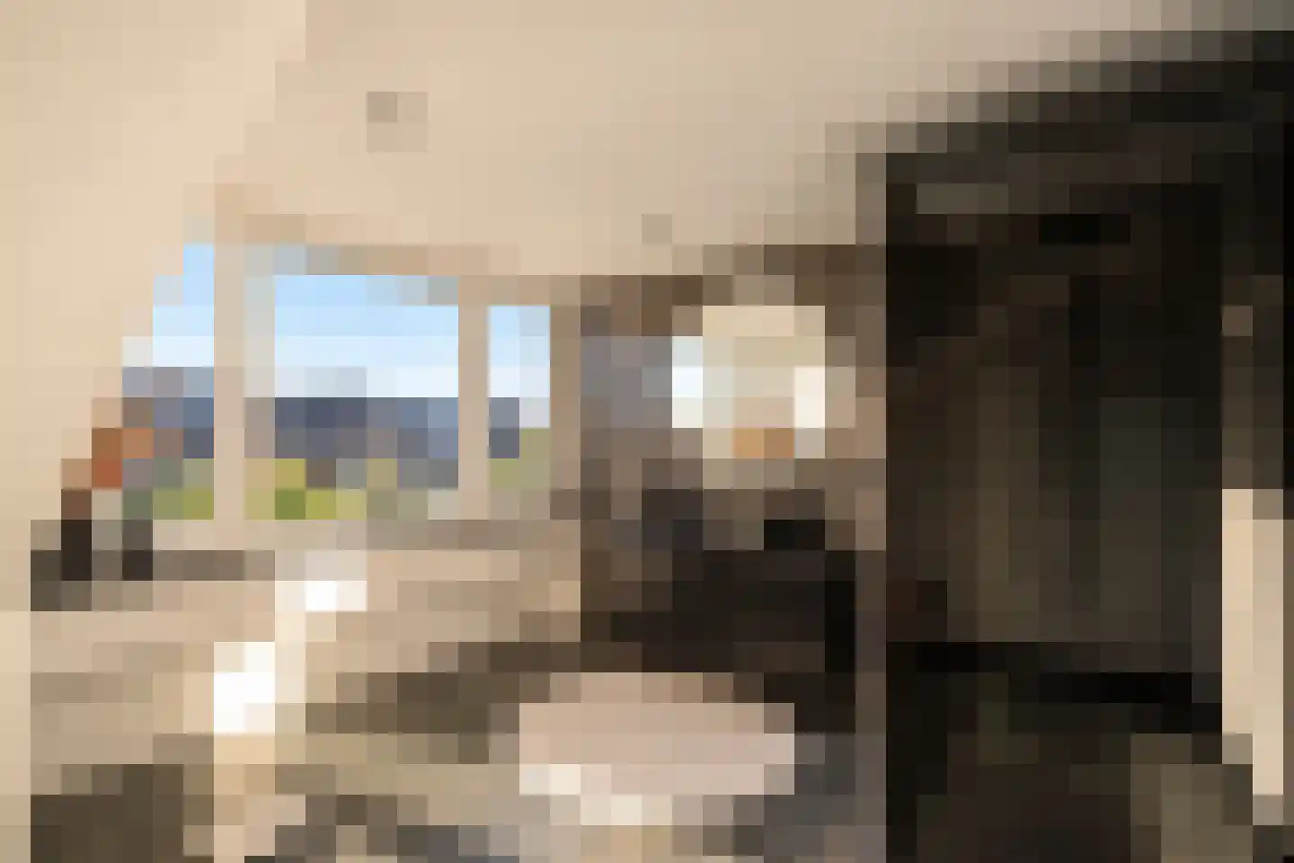 Jonagold 10 Buren thumbnail 5