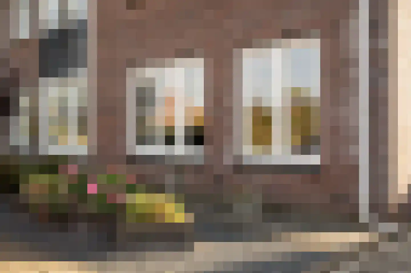 Jonagold 10 Buren thumbnail 53