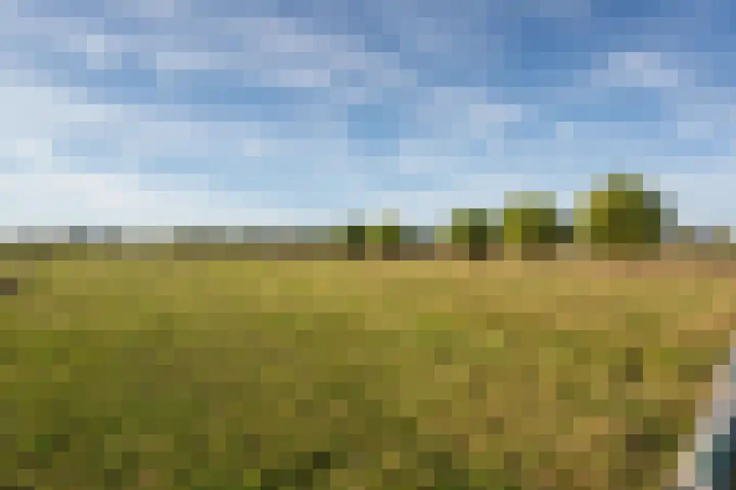 Jonagold 10 Buren thumbnail 60