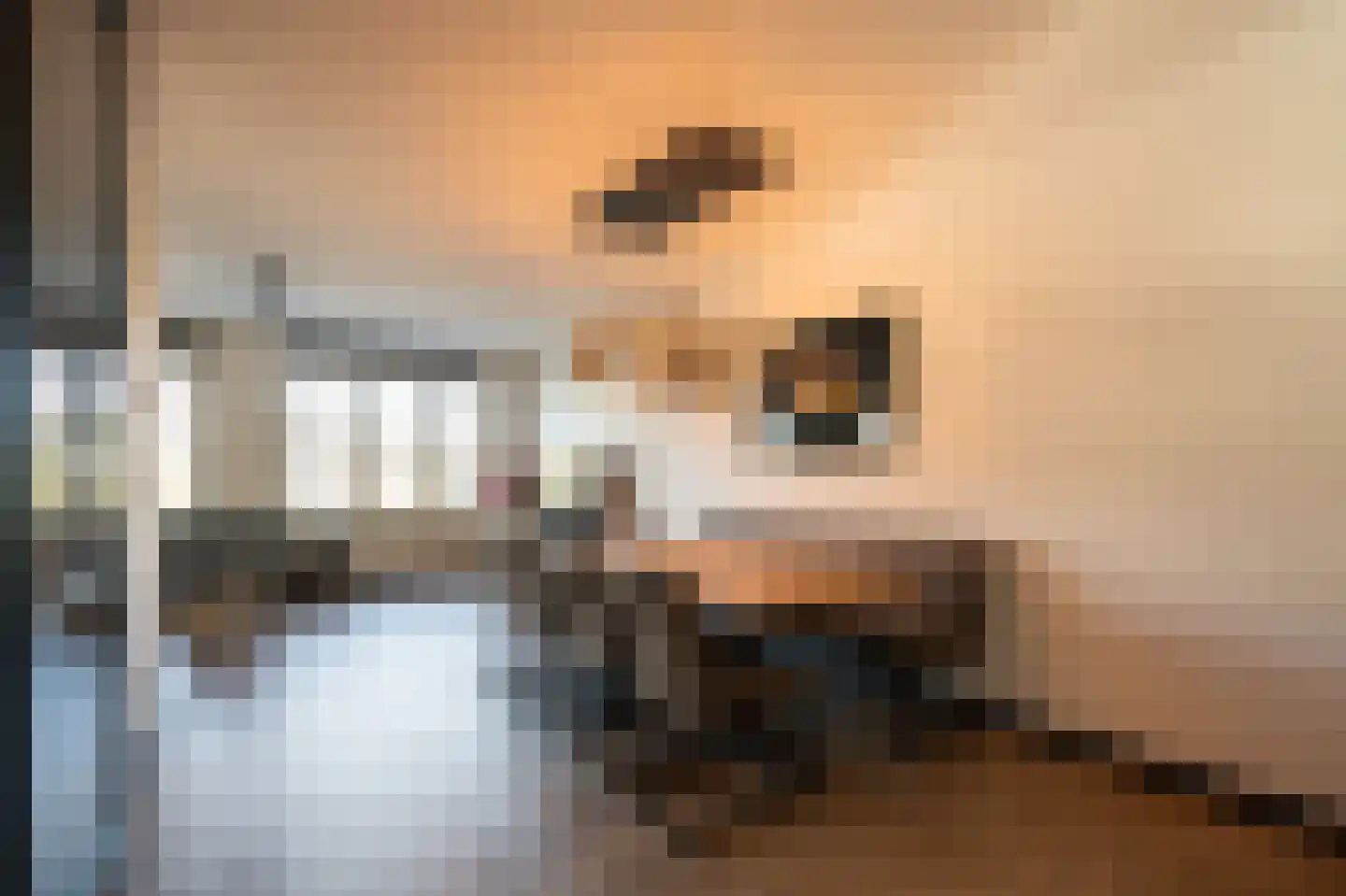 Jonagold 10 Buren thumbnail 8