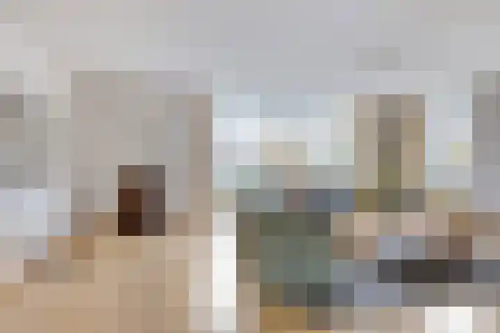 Jonagold 13 Elst thumbnail 10