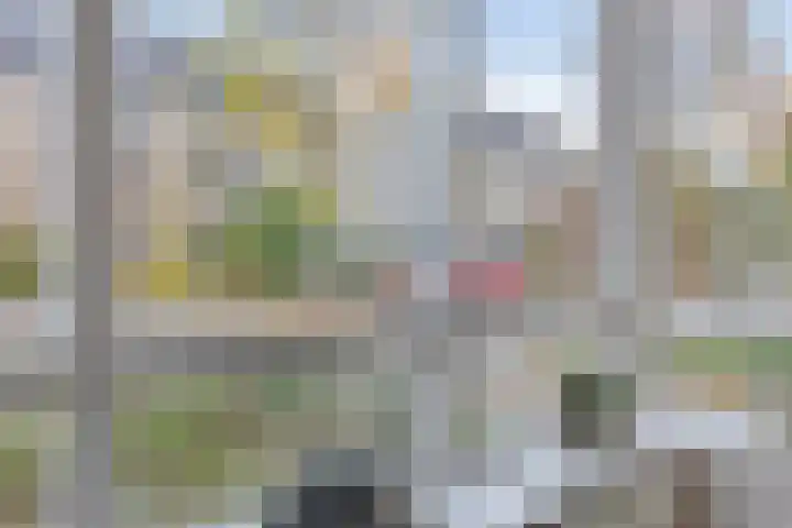 Jonagold 13 Elst thumbnail 15