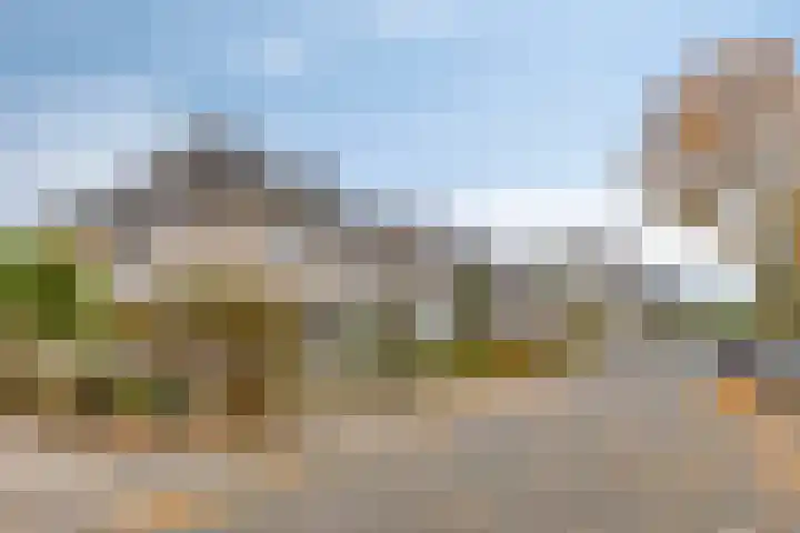 Jonagold 13 Elst foto 2