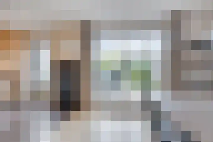 Jonagold 13 Elst thumbnail 20