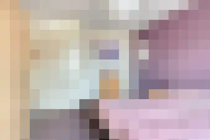 Jonagold 13 Elst thumbnail 27
