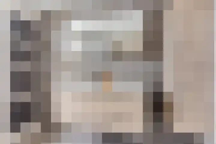 Jonagold 13 Elst thumbnail 29