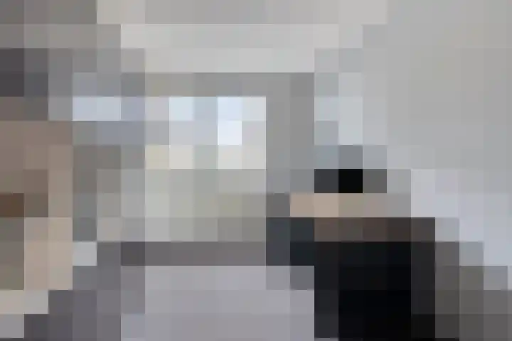 Jonagold 13 Elst thumbnail 34