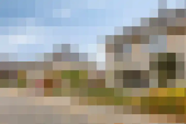 Jonagold 13 Elst thumbnail 4