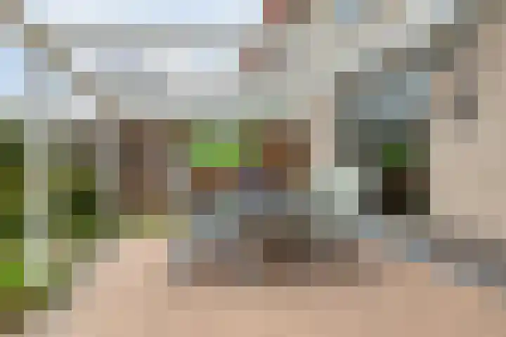 Jonagold 13 Elst thumbnail 41