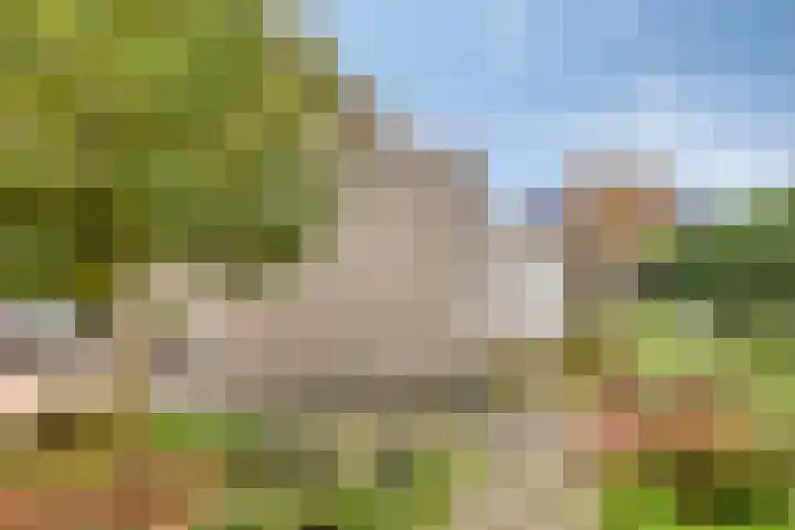 Jonagold 13 Elst thumbnail 46