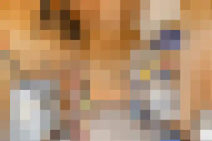 Jonagold 13 Elst thumbnail 47