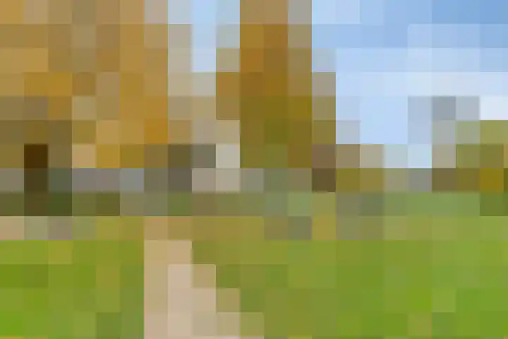 Jonagold 13 Elst thumbnail 49
